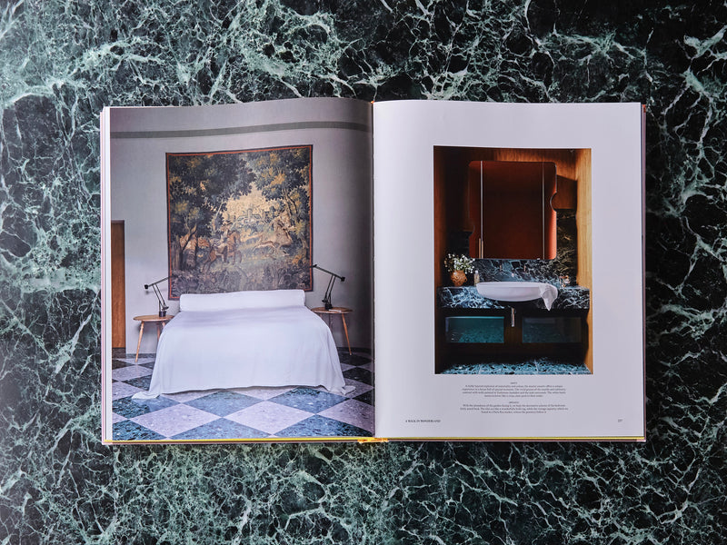 Interiors Beyond the Primary Palette - Slipcase Edition